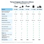 Airlines Baggage Allowance Comparison