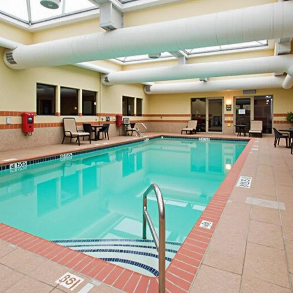 Best Western Plus Boston Airport Hotel Near Boston Logan Airport