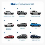 Blue Car Rental Keflavik Airport Car Fleet