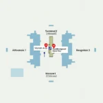 Delhi Airport Terminal Layout