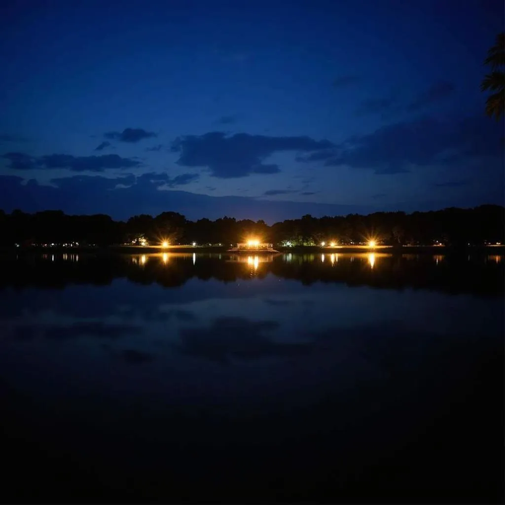 Serene View of Futala Lake at Night