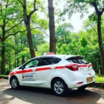 Taxi service waiting for passengers at Nandi Hills