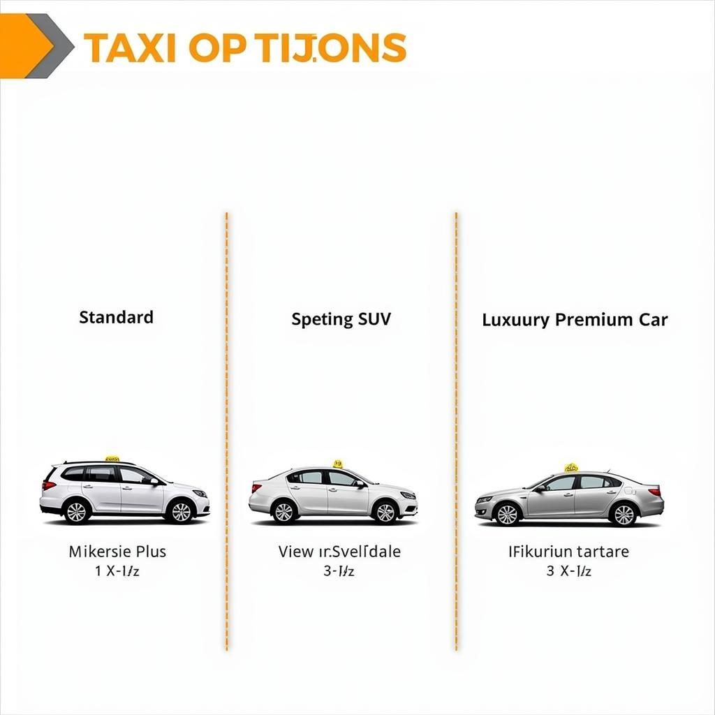 Nashik Airport Taxi Options: Sedan, SUV, Premium Car