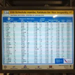 534 Bus Route Schedule from IGI Airport Delhi