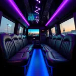 Luxurious Interior of an 8-Door Airport Limo