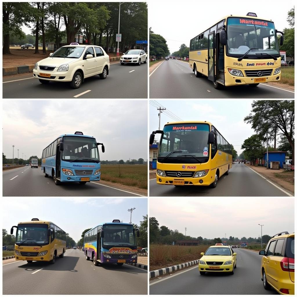 Transportation Options from Jabalpur Airport to Amarkantak