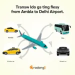 Ambala to Delhi Airport Travel Options