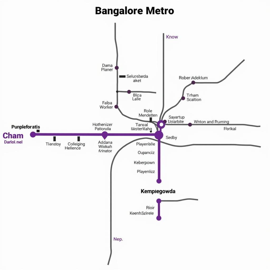 Bangalore Metro Map Airport Connection