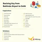 Bathinda Airport to Delhi Travel Checklist