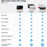 Delhi Airport Lounge Access Card Options