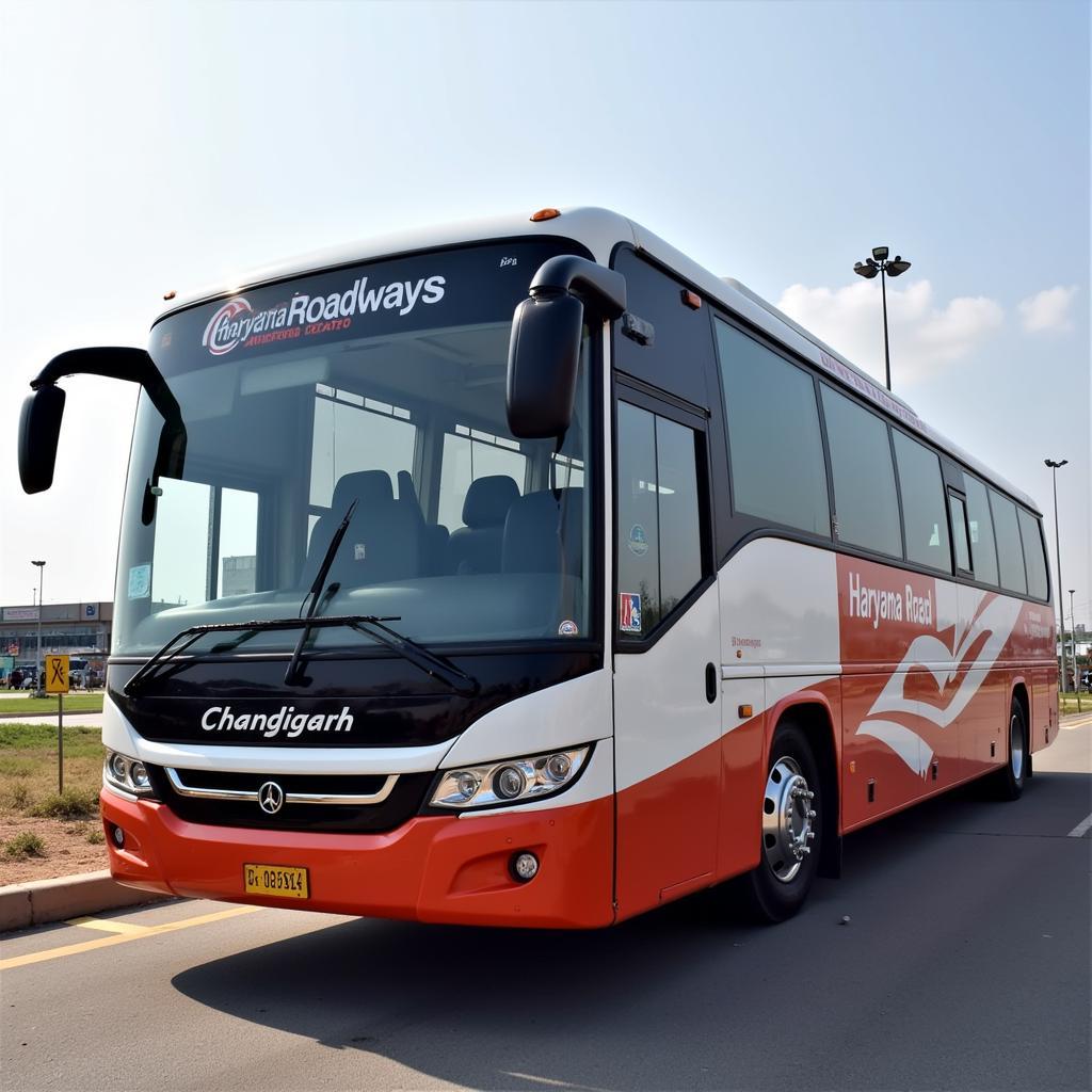 Haryana Roadways Bus at IGI Airport Departure Terminal