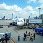 Indigo Airport Operations