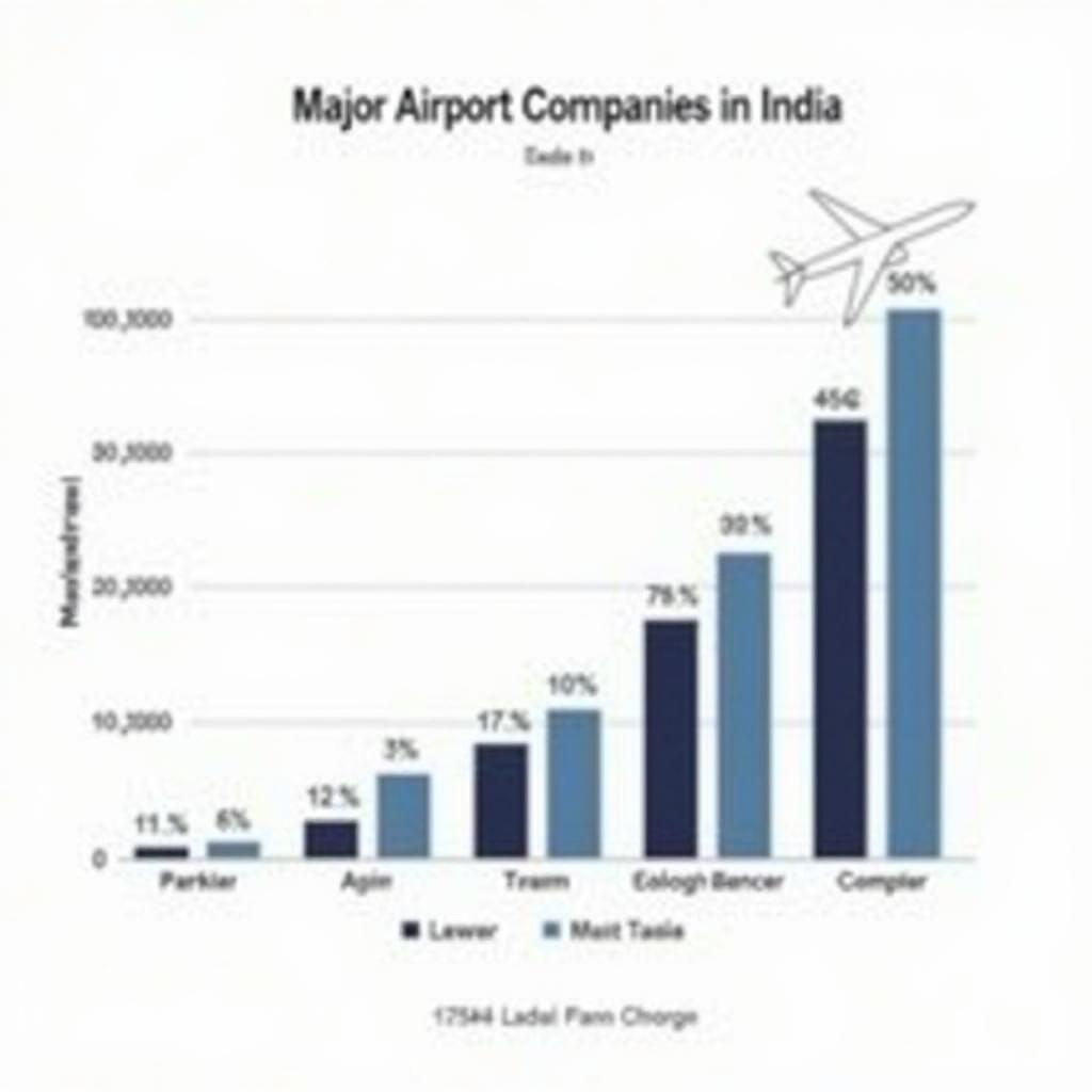 Key Players in the Indian Airport Market