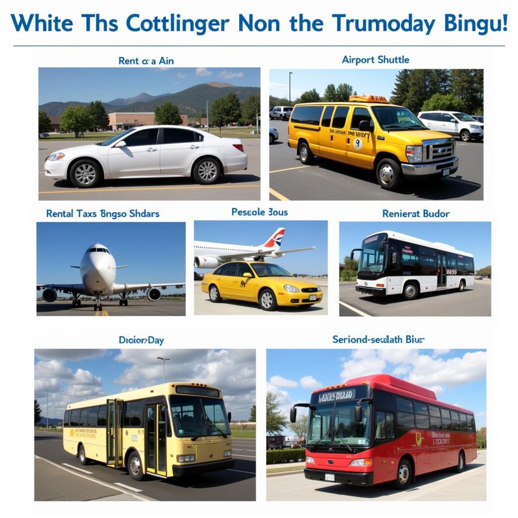 Transportation Options from Kingston Airport (KIN)