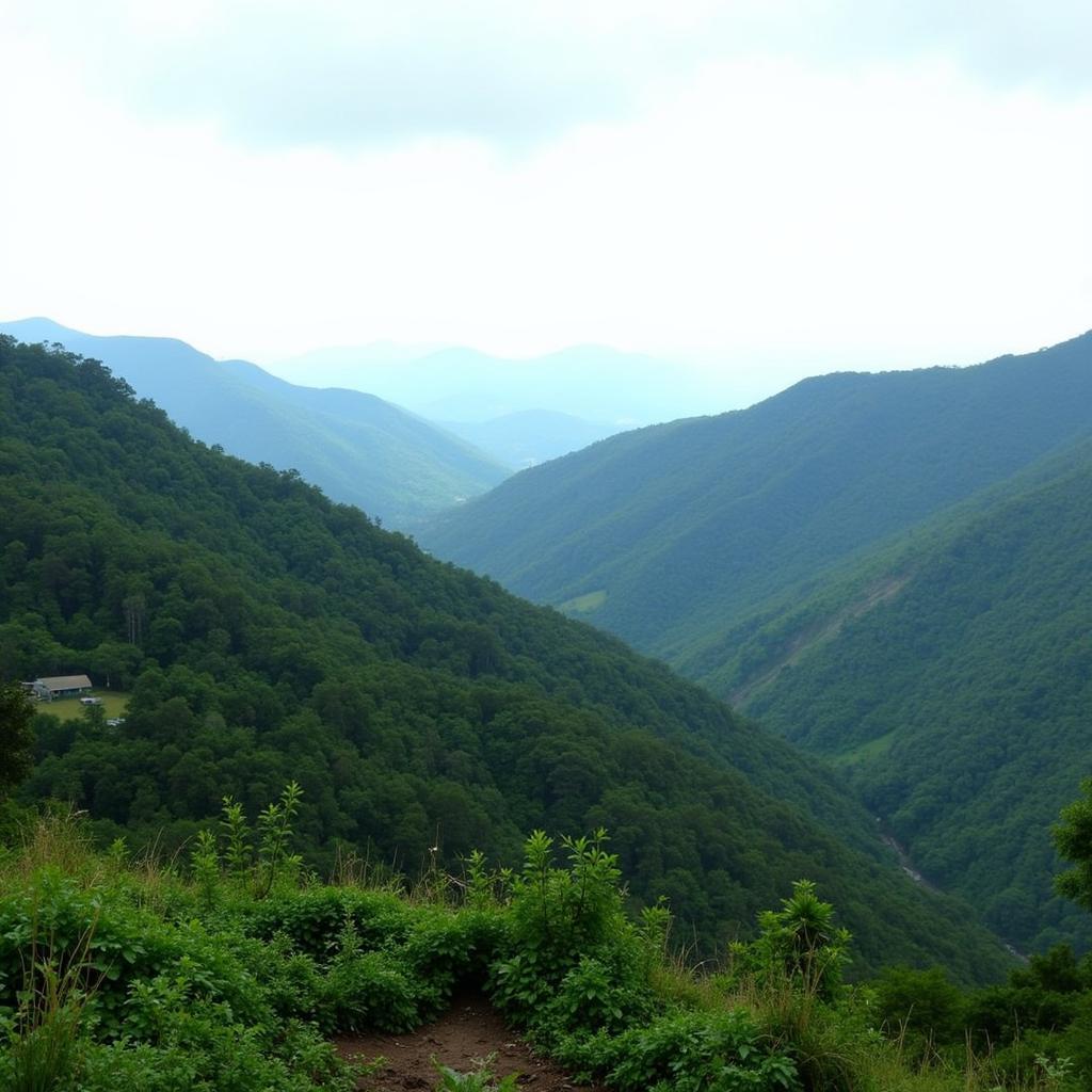 Scenic view of the Kodaikanal hill station, highlighting the challenging terrain that makes airport construction difficult.