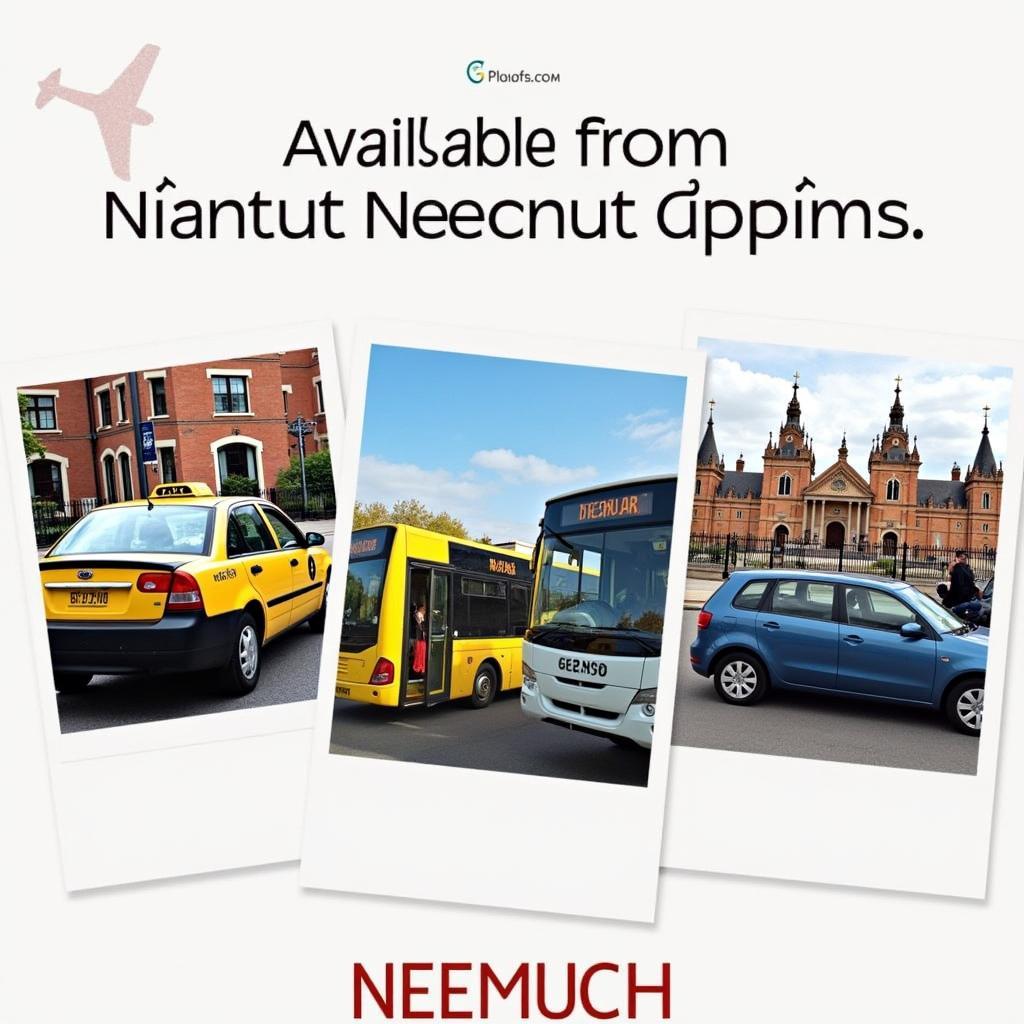 Various transportation options from Neemuch to nearby airports.