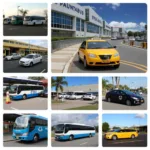 Various Transportation Options at Piarco International Airport