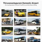 Thiruvananthapuram Airport Transport Options