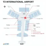 T3 International Airport Layout Map